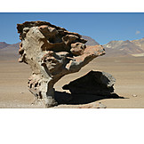   Wüste, Stein, Bolivien, Arbol de piedra