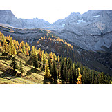   Mountain range, Autumn, Larch forest