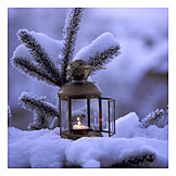   Snowy, Lantern, Candle, Fir branch