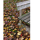   Autumn, Autumn Leaves, Bench
