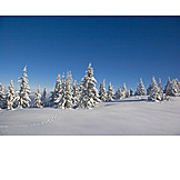   Winter, Winter landscape