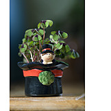   Flower pot, Four leafed clover, Lucky charms