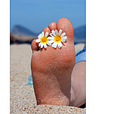   Fuß, Strandurlaub