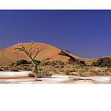   Wüste, Namibia, Namibsand, Düne