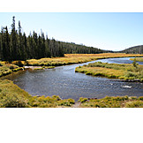   Fluss, Yellowstone, Nationalpark, Snake river