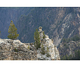   Rocks, Pinnacle, Grand canyon of the yellowstone