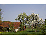   Landwirtschaft, Bauernhof, Osnabrücker land