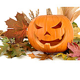   Squash, Halloween, Autumn decoration