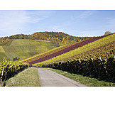   Weinberg, Baden, Württemberg, Weinanbaugebiet