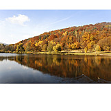   Lake, Autumn, Palatinate Forest
