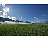   Agriculture, Watering, Aquifer