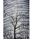   Baum, Glasfassade