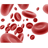   Rote blutkörperchen, Thrombozyten, Blutkörperchen
