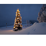   Weihnachten, Weihnachtsbaum, Weihnachtsbeleuchtung