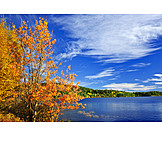   Canada, Autumn, Algonquin Provincial Park