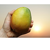   Obst, Mango