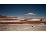   Andes, Altiplano, Laguna colorada