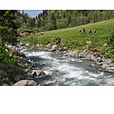   Mountain stream, Hollersbach, Hollersbach valley