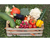   Gesunde Ernährung, Gemüse, Ernte