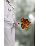   Woman, Autumn, Leaf, Maple Tree