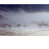   Arable, Winter landscape, Fog