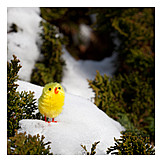   Easter, Snow, Easter Chicks