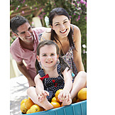   Family, Fruit Harvest, Orange Harvest