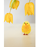   Easter, Chicks, Easter Decoration