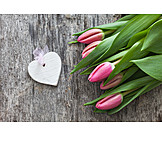   Bouquet, Tulips Bouquet, Valentine