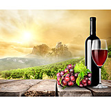  Wine, Winemaking, Wine region