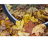   Herbst, Fahrradreifen, Rutschgefahr