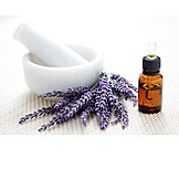   Lavender oil, Lavender, Essential oil