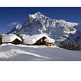   Winter, Berner oberland, Wetterhorn, Berner alpen