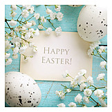   Easter, Easter greeting, Happy easter, Easter card