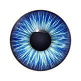  Eye, Blue eyes, Iris