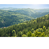  Tschechien, Mittelgebirge, Böhmerwald