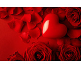   Love, Heart, Valentine, Rose Petals