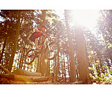   Forest, Tree trunk, Jump, Mountain biker