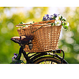   Blüten, Fahrradkorb