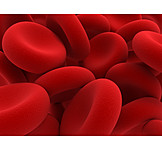   Rote Blutkörperchen, Thrombozyten, Blutkörperchen