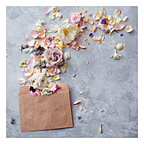   Blüten, Liebesbrief, Einladung