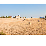   Agriculture, Straw bales