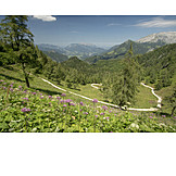   Trail, Hiking area, National park berchtesgaden