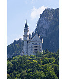   Schloss neuschwanstein